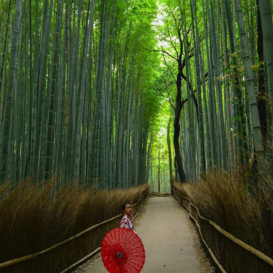 A Japanese Sojourn | Business Trip to Japan | Trade Show | Best Vacation Planner Bangalore India - GoTravelab