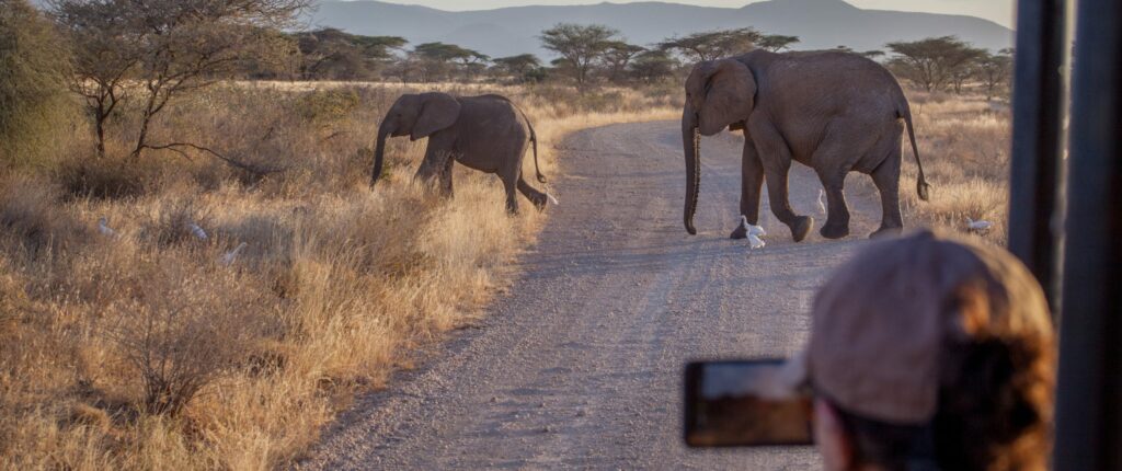 samburu-safari-Into the Kenyan Wild | Adventure Travel Planner | Best Group Tour Package - GoTravelab