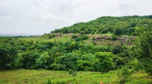 Anantagiri Hills-Short Break From Hyderabad | Top Tourist Places | Tour & Travel Planner | Top Travel Agency in India - GoTravelab