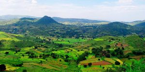 Araku Valley-Short Break From Hyderabad | Top Tourist Places | Tour & Travel Planner | Top Travel Agency in India - GoTravelab