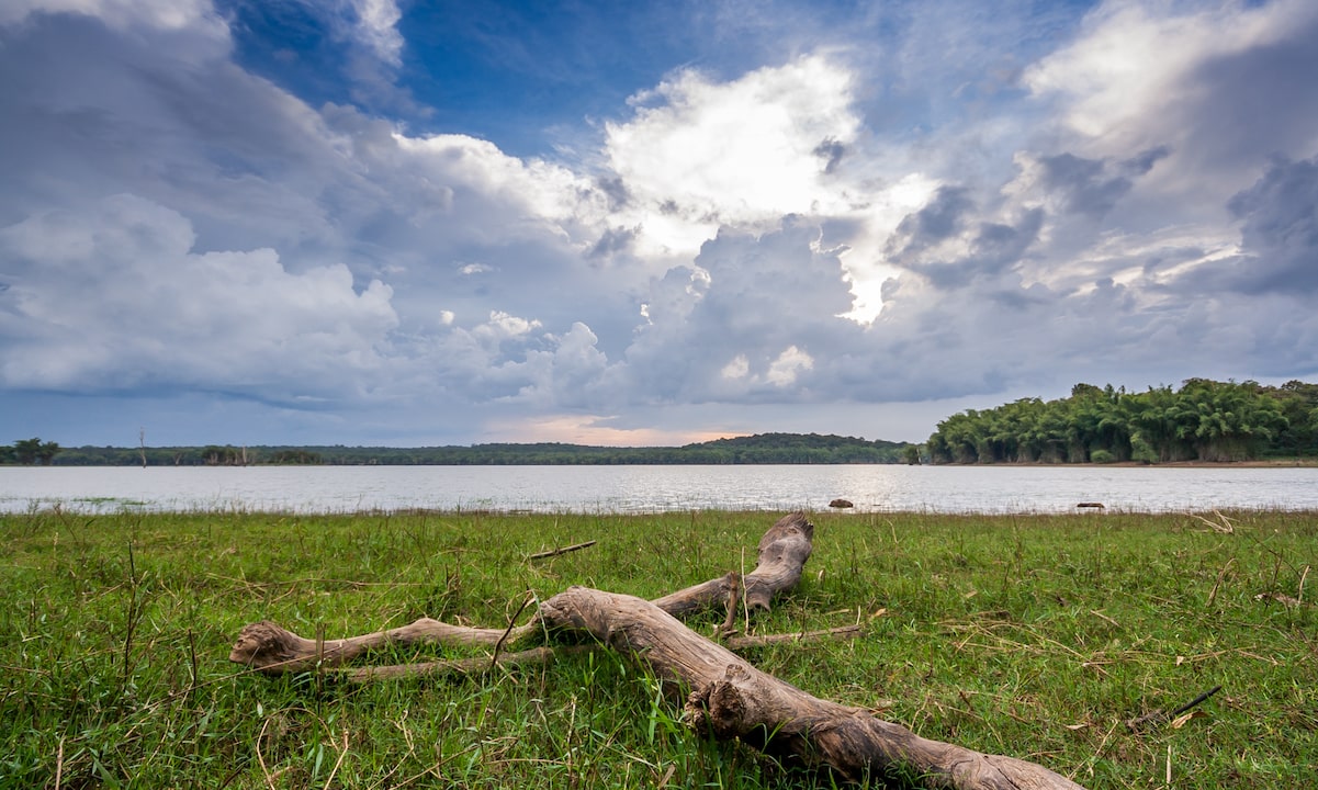 Kabini-Bangalore Where to Get That Weekend Break Around the Garden City Best Travel Agency-GoTravelab