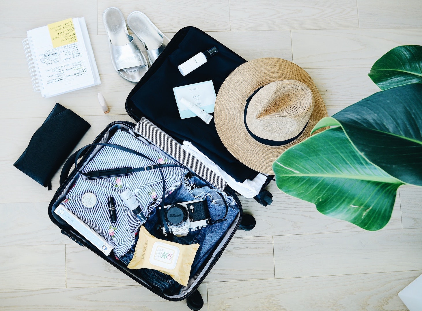 Pack Right: A Master List of Travel Essentials-Best Travel Agency-Tour and Travel Packages-GoTravelab