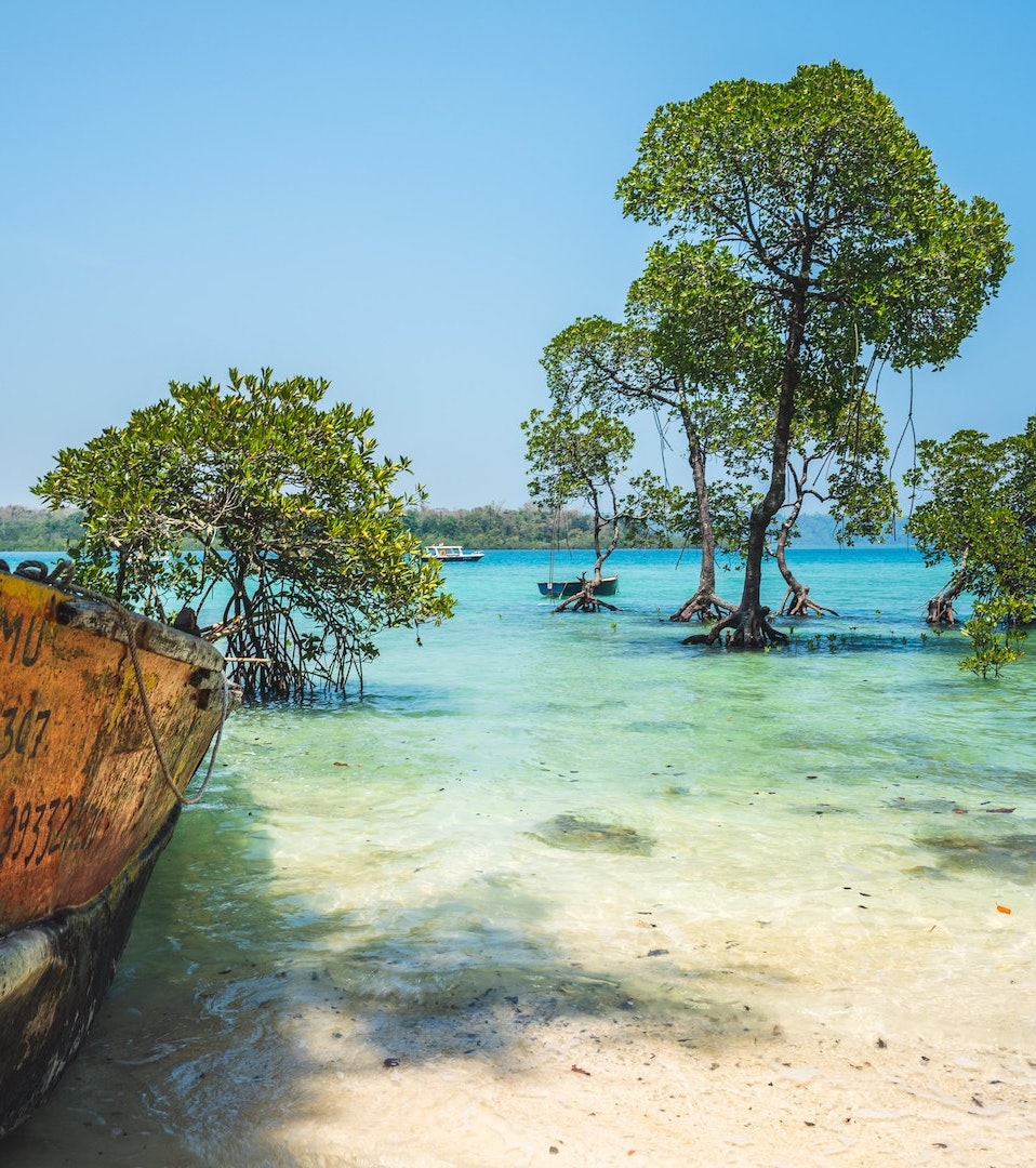 Awe-inspiring Andaman and Nicobar Islands-Tour and Travel Planner-Best Trip Package-Domestic Travel Agency-GoTravelab