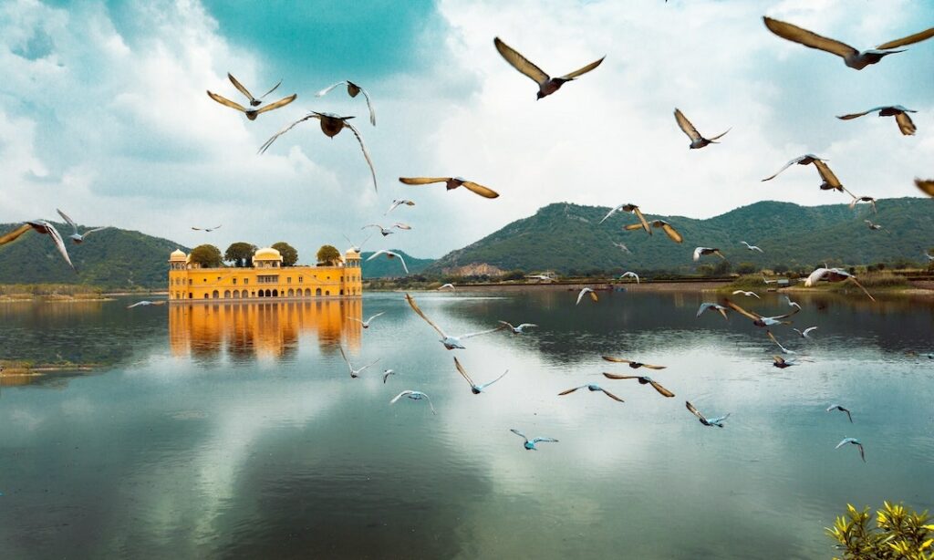 Jal Mahal-Adventurous Rajasthan-Luxury Tour and Travel Agency-Rajasthan Trip Planner-Customised Group Tours-GoTravelab