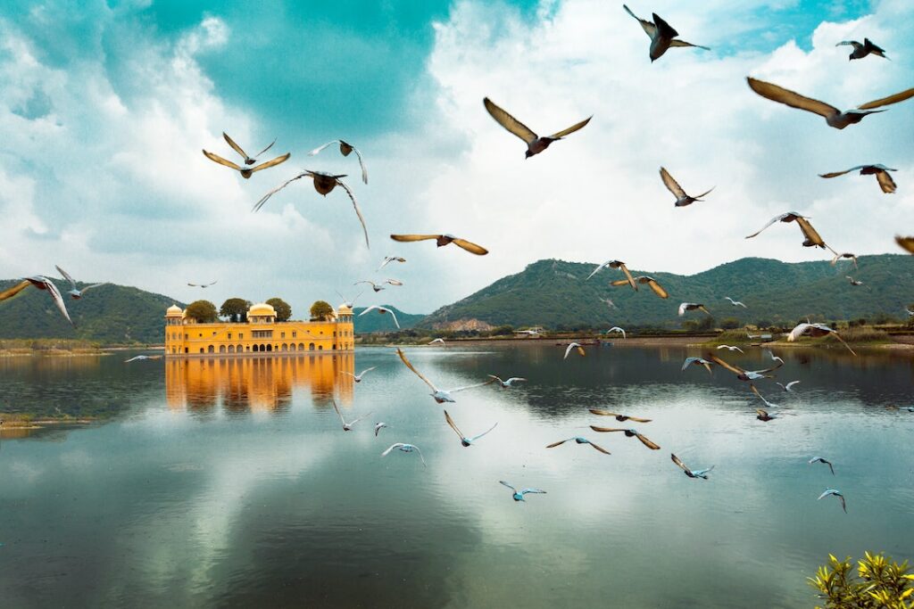 Jal Mahal-Adventurous Rajasthan-Luxury Tour and Travel Agency-Rajasthan Trip Planner-Customised Group Tours-GoTravelab