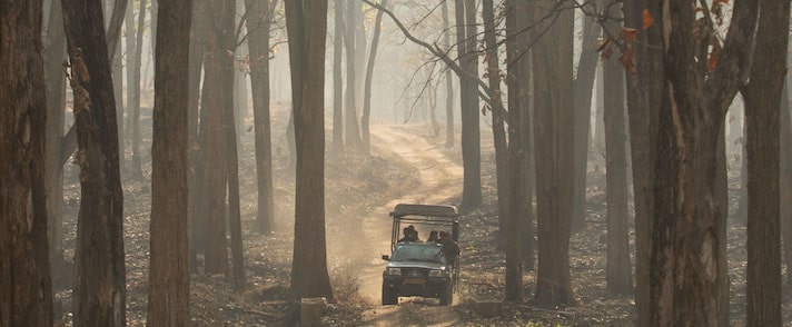 Jeep Safari-Into the Wilds of Kabini-Travel Agency Karnataka-Weekend Gateway Bangalore-GoTravelab