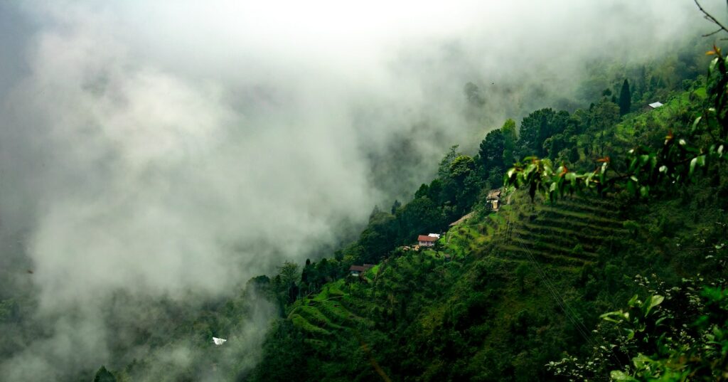 Tea Gardens in Darjeeling-The Alluring West Bengal-Tour and Travel Agency in Bangalore-Luxury Trip Planner-Group Tour-GoTravelab