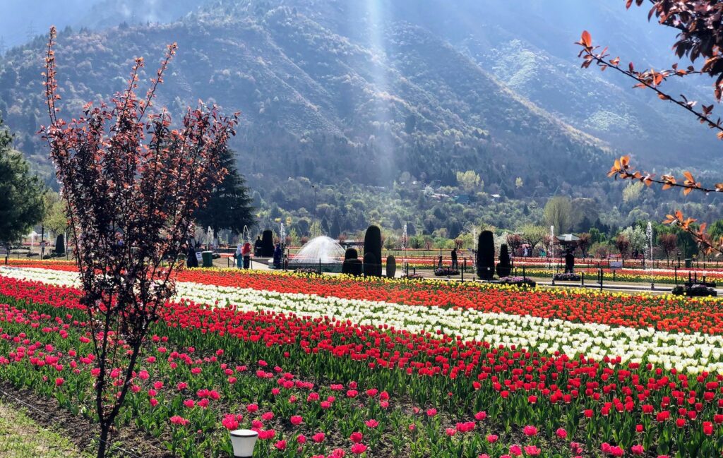 Indira Gandhi Memorial Tulip Garden-Kashmir Adventure-Kaleidoscopic Kashmir-Group-Corporate Tour Planner-Best Travel Agency Near Me-Trip Planner-GoTravelab