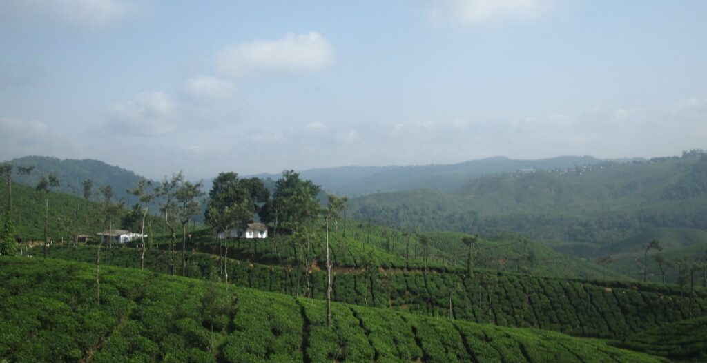 Malakkappara Tea Estate-Kerala-Tour-Travel Agency-South India Tour Package-Luxury Trip Planner-Group-Corporate Trip-Bangalore-GoTravelab