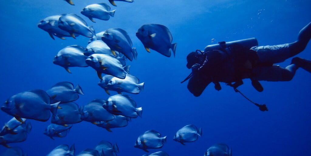 Snorkelling-Scuba Diving-Mesmeric Maldives-Group Tour Packages-Premium Trip Planner-Luxury-Corporate Travel Agency-Bangalore-GoTravelab