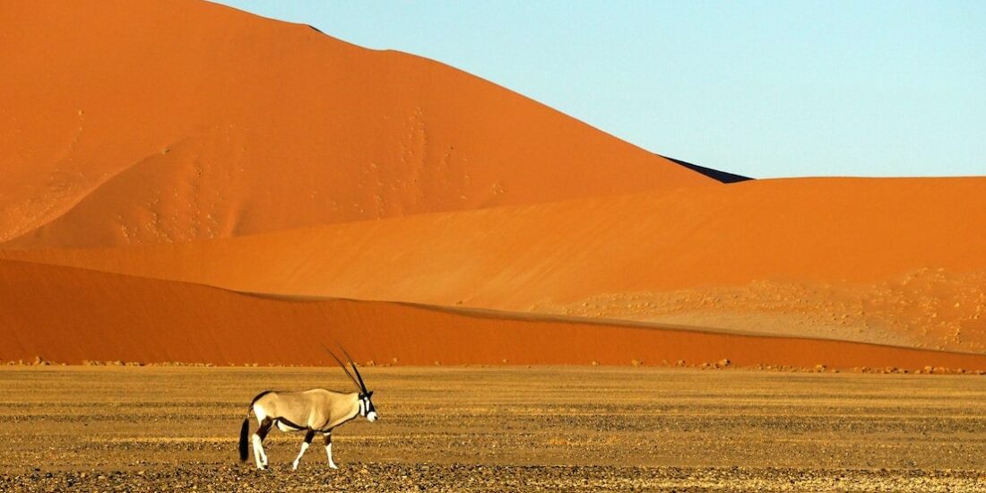 Blog Travel Planner Best Travel Agency Bangalore, India GoTravelab